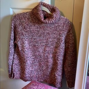 J CREW Turtle Neck Sweater